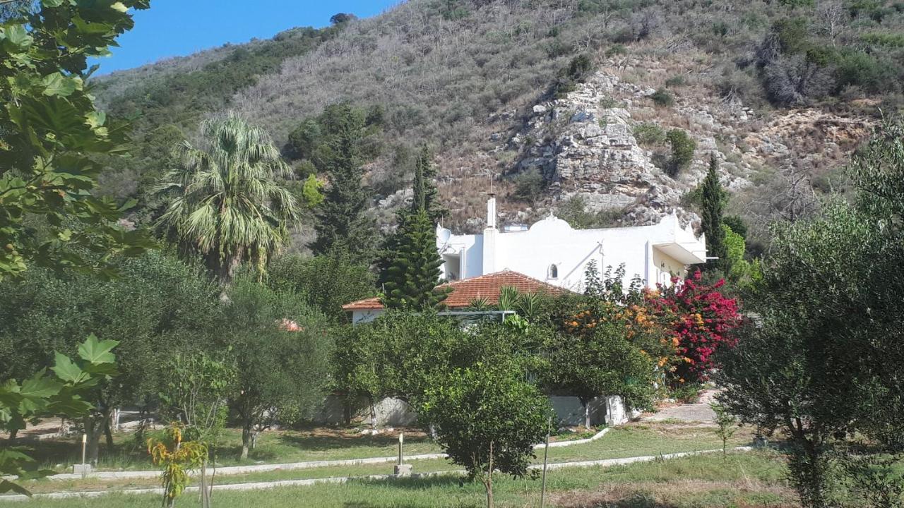 Villa Dunes 350M From The Sandy Beach Kalogria  Exterior photo