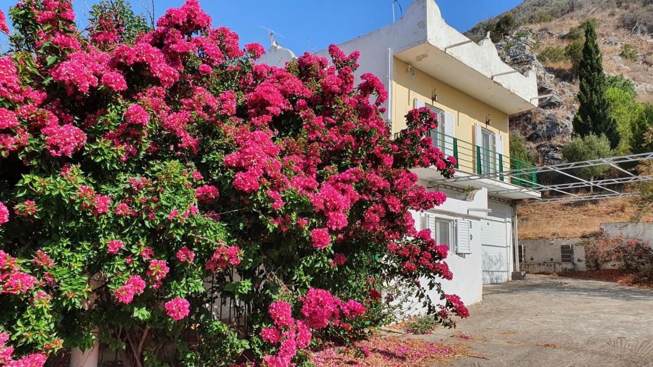 Villa Dunes 350M From The Sandy Beach Kalogria  Exterior photo