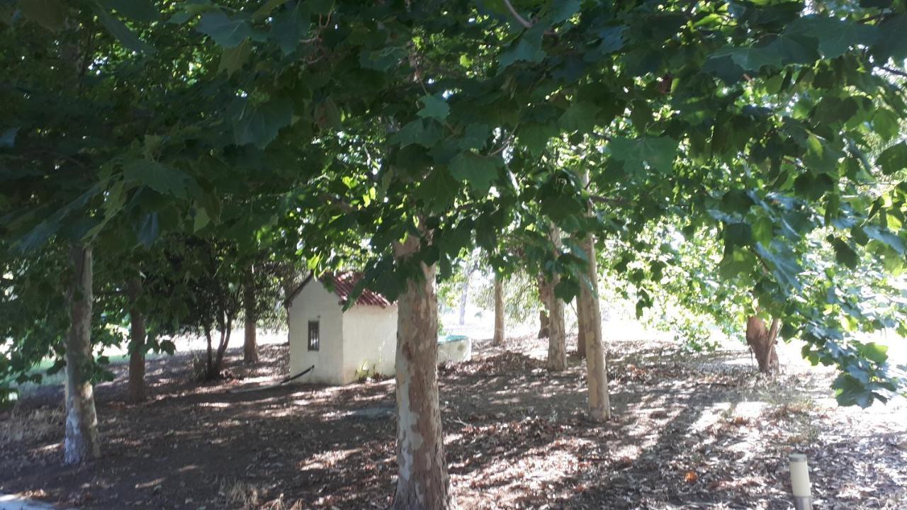 Villa Dunes 350M From The Sandy Beach Kalogria  Exterior photo