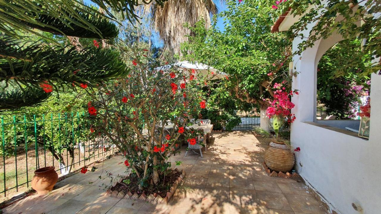 Villa Dunes 350M From The Sandy Beach Kalogria  Exterior photo